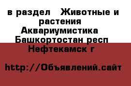  в раздел : Животные и растения » Аквариумистика . Башкортостан респ.,Нефтекамск г.